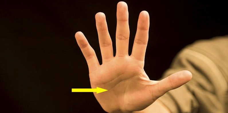 Đường Trí Đạo trong xem bói chỉ tay