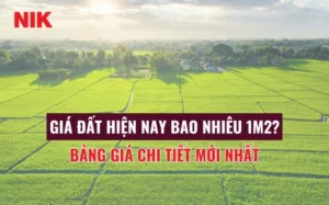 giai-dap-chi-tiet-gia-dat-hien-nay-bao-nhieu-1m2-nam-2026_928