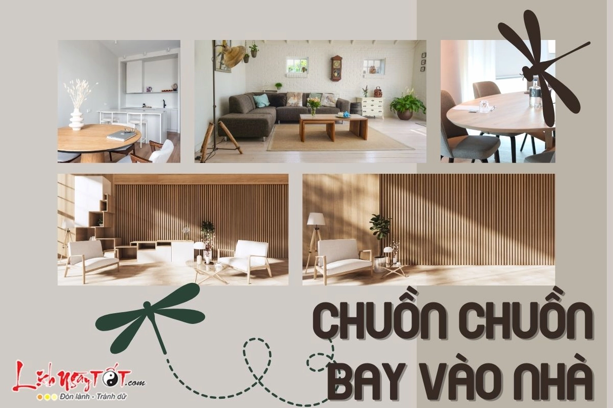 Giải mã chi tiết các trường hợp chuồn chuồn bay vào nhà