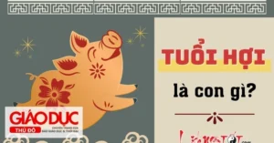 giai-ma-chi-tiet-tuoi-hoi-sinh-nam-bao-nhieu-menh-gi-hop-tuo_807