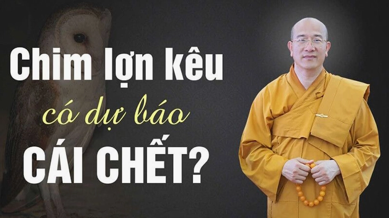 Giải mã chim lợn kêu theo số tiếng