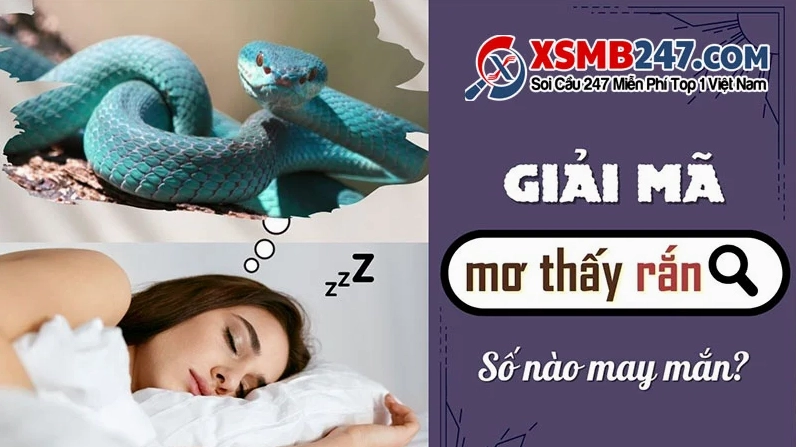 Giải mã giấc mơ thấy rắn và những con số may mắn