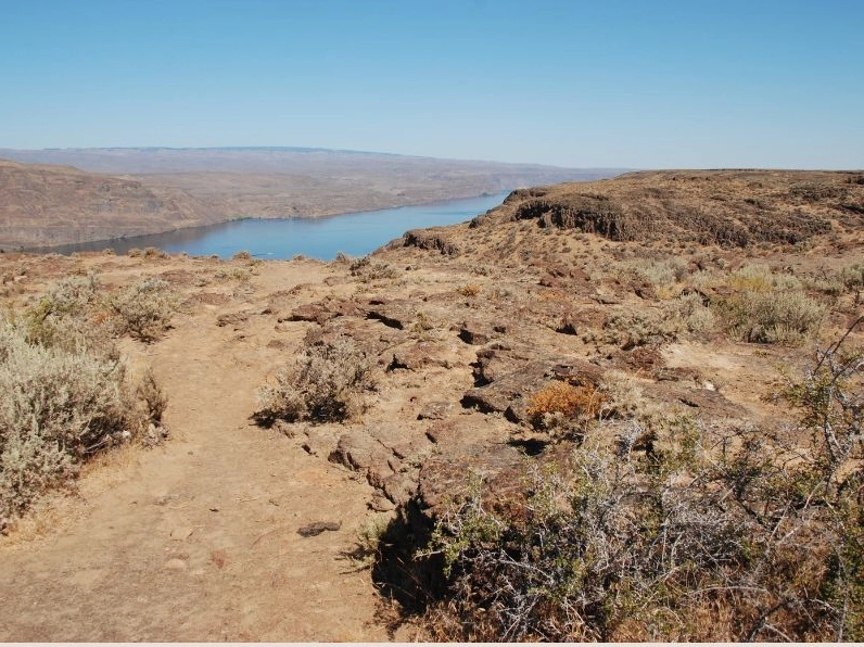 Giải pháp ứng phó và ngăn chặn hiện tượng xâm nhập mặn bằng công trình thủy lợi