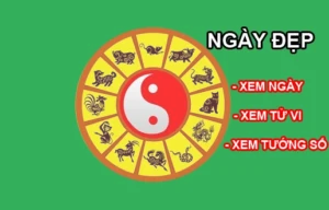 gio-dep-ngay-mai-1442026-kham-pha-hoang-dao-tai-loc-thuan-bu_430