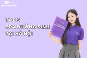 goi-dau-duong-sinh-ha-noi-2026-bi-quyet-thu-gian-phuc-hoi-su_549