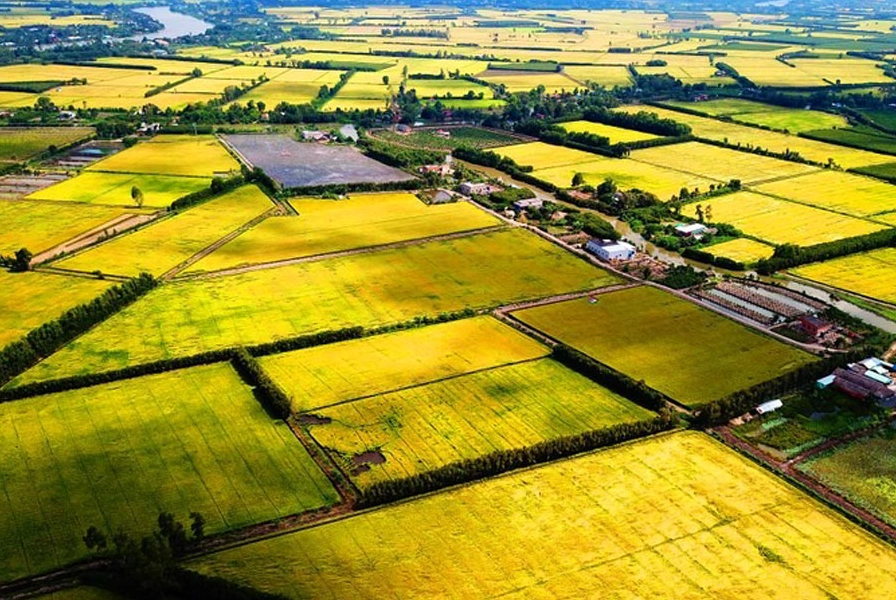 Hecta là gì? 1 ha bằng bao nhiêu m2? Cách quy đổi và ứng dụng thực tế