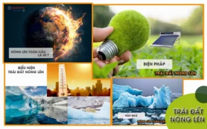 hien-tuong-nong-len-toan-cau-nguyen-nhan-hau-qua-va-giai-pha_621