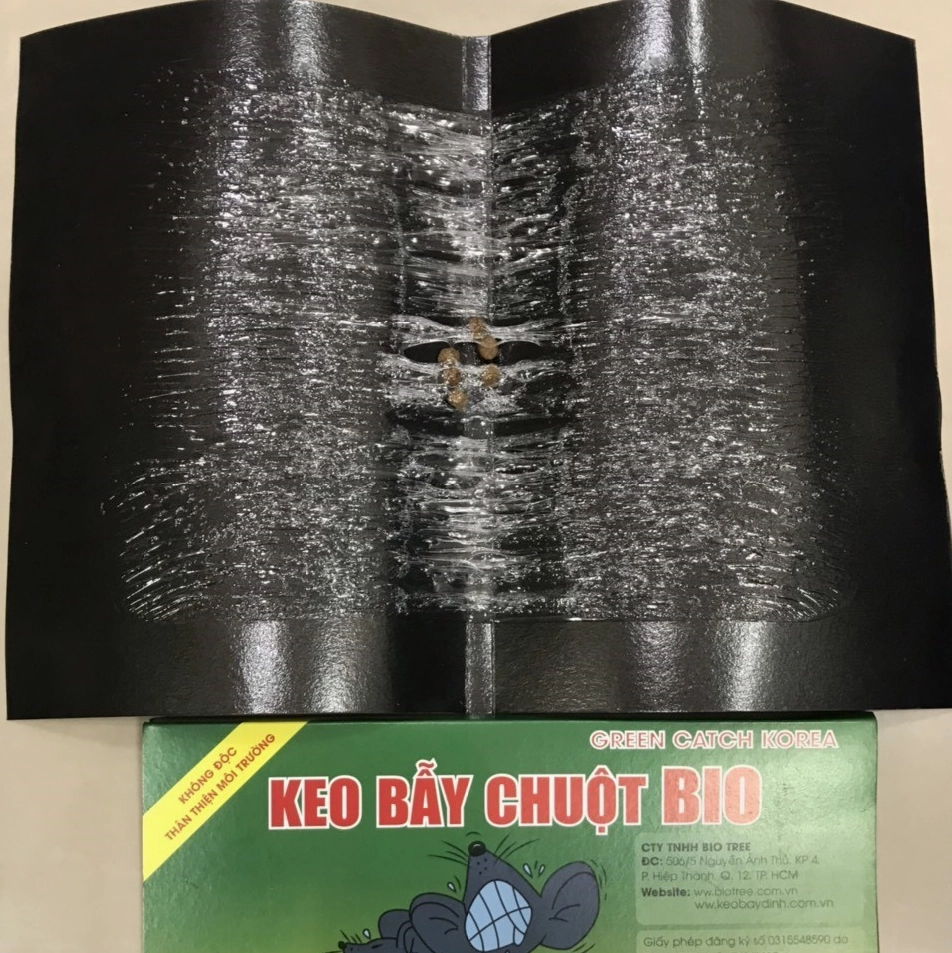 Hình ảnh bẫy dính chuột liên quan đến việc tìm hiểu con chuột số bao nhiêu trong phong thủy