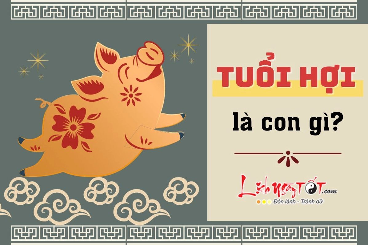 Hoi la con gi - Biểu tượng của sự ấm no và sung túc trong 12 con giáp