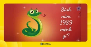 kham-pha-1989-tuoi-con-gi-bao-nhieu-tuoi-tu-vi-ky-ty-chi-tie_440