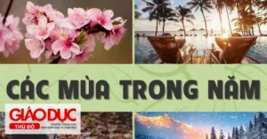 kham-pha-cac-mua-trong-nam-dac-diem-va-thoi-gian-chi-tiet-20_766