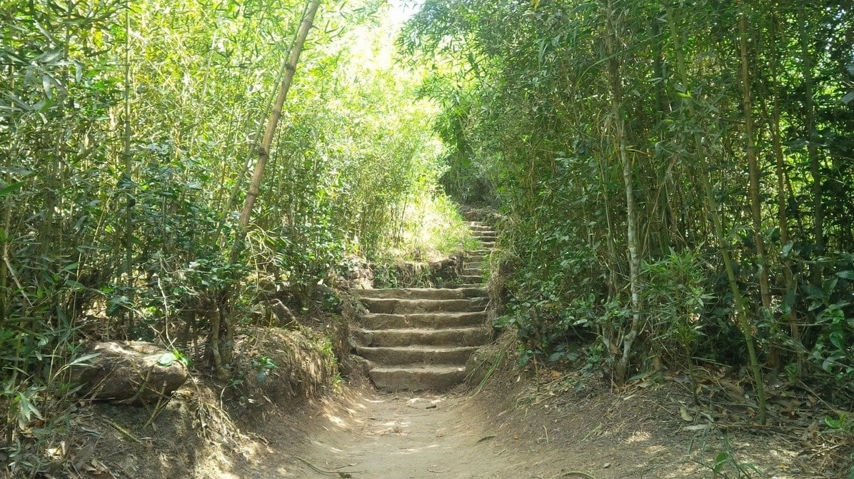 Không gian thiền tịnh, chốn tu học bình yên tại Linh Quy Pháp Ấn Bảo Lộc