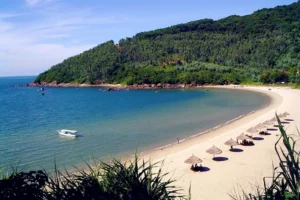 kinh-nghiem-kham-pha-bai-but-da-nang-2026-chi-tiet-tu-a-z_581