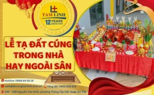 le-ta-dat-cung-trong-nha-hay-ngoai-san-giai-dap-chuan-phong-_344