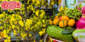 mam-ngu-qua-gom-nhung-qua-gi-giai-ma-y-nghia-3-mien-tet-2026_923