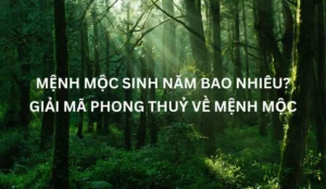 menh-moc-sinh-nam-nao-chi-tiet-6-nap-am-phong-thuy-kich-tai-_396