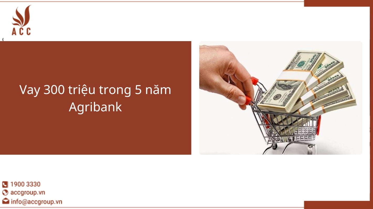 Mô phỏng chi tiết khoản Vay 300 triệu trong 5 năm Agribank