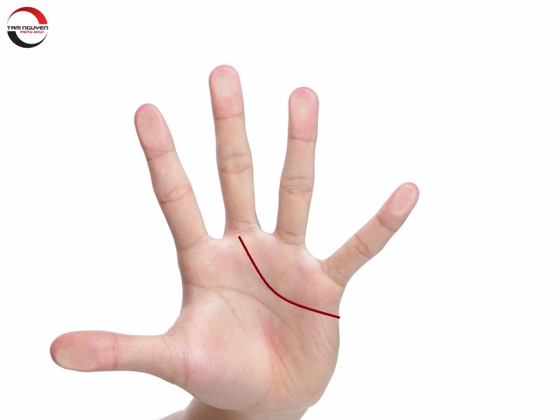 Mô tả các đường chỉ tay tình duyên trên lòng bàn tay