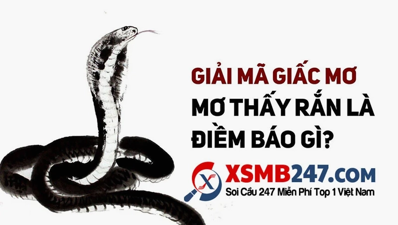 Mơ thấy ổ rắn nhỏ và điềm báo tương lai