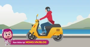 mua-bao-hiem-xe-may-o-dau-2026-5-dia-chi-uy-tin-tranh-bi-pha_719