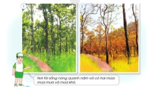 mua-mua-bat-dau-tu-thang-may-cap-nhat-chi-tiet-3-mien-moi-nh_859