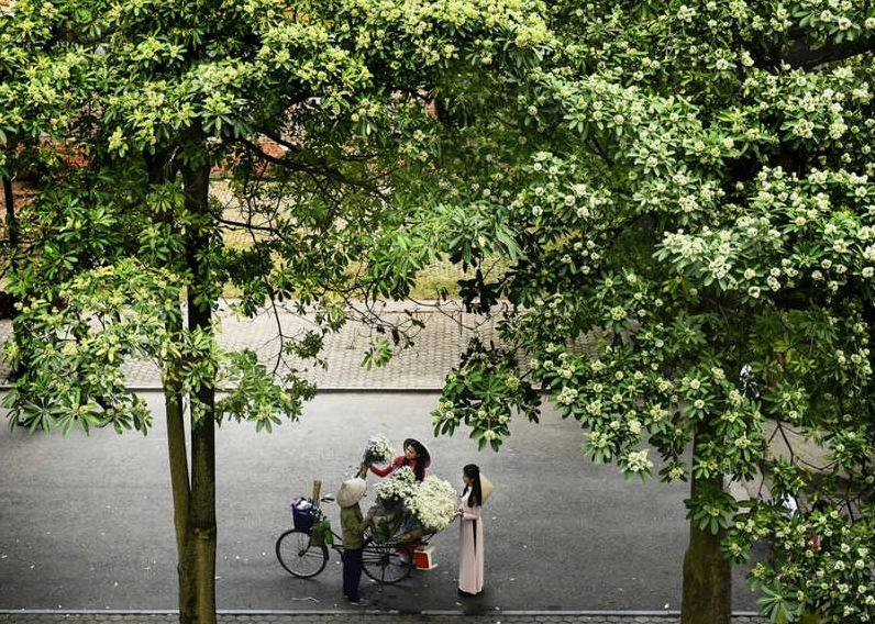 Mùa thu ở miền Bắc