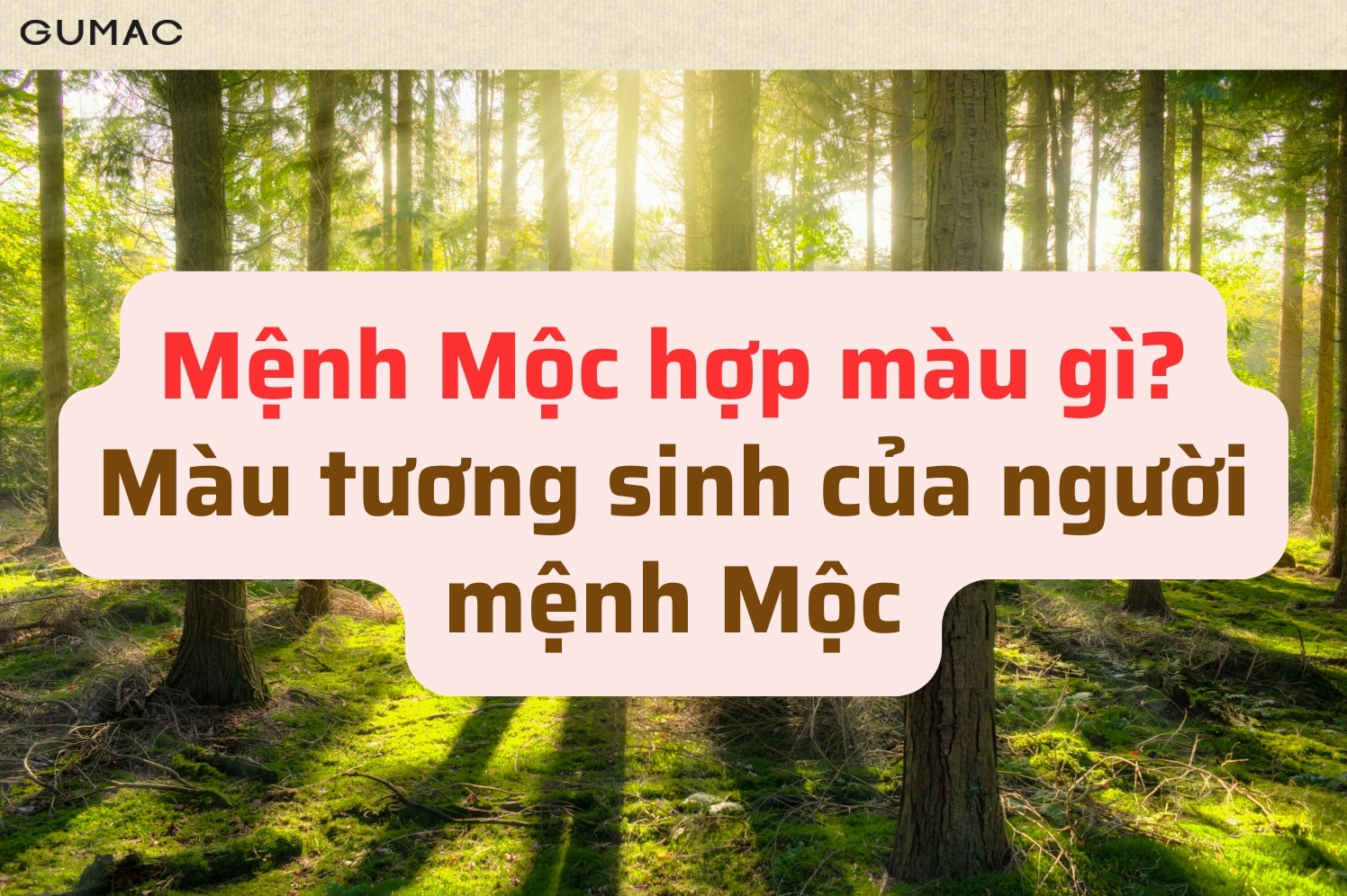 nam nu menh moc hop mau gi 2026