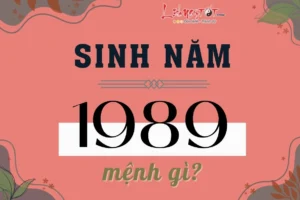 nam-sinh-nam-1989-hop-tuoi-gi-giai-ma-tinh-duyen-su-nghiep-k_131