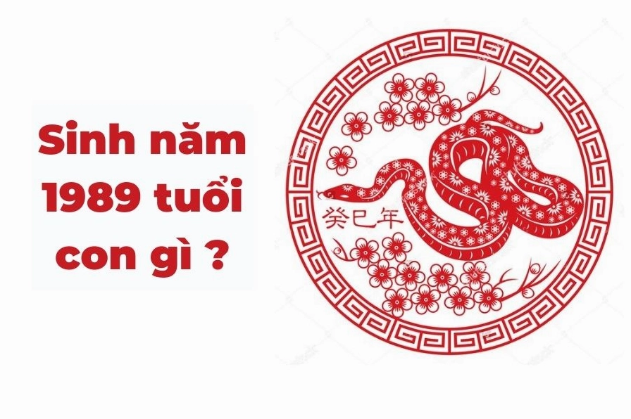 Nam sinh năm 1989 tuổi Kỷ Tỵ, cầm tinh con Rắn