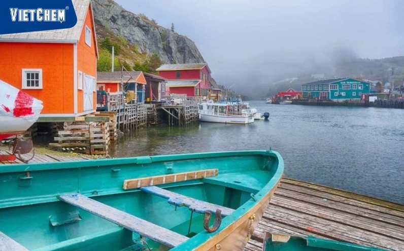 Newfoundland Canada là một trong những nơi có sương mù dày đặc nhất thế giới