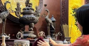 ngay-dep-tia-chan-nhang-2026-hut-tai-loc-cat-khi-den-gia-din_169