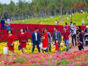 ngay-dep-xuat-hanh-2026-bi-quyet-chon-ngay-lanh-gio-tot-chua_736