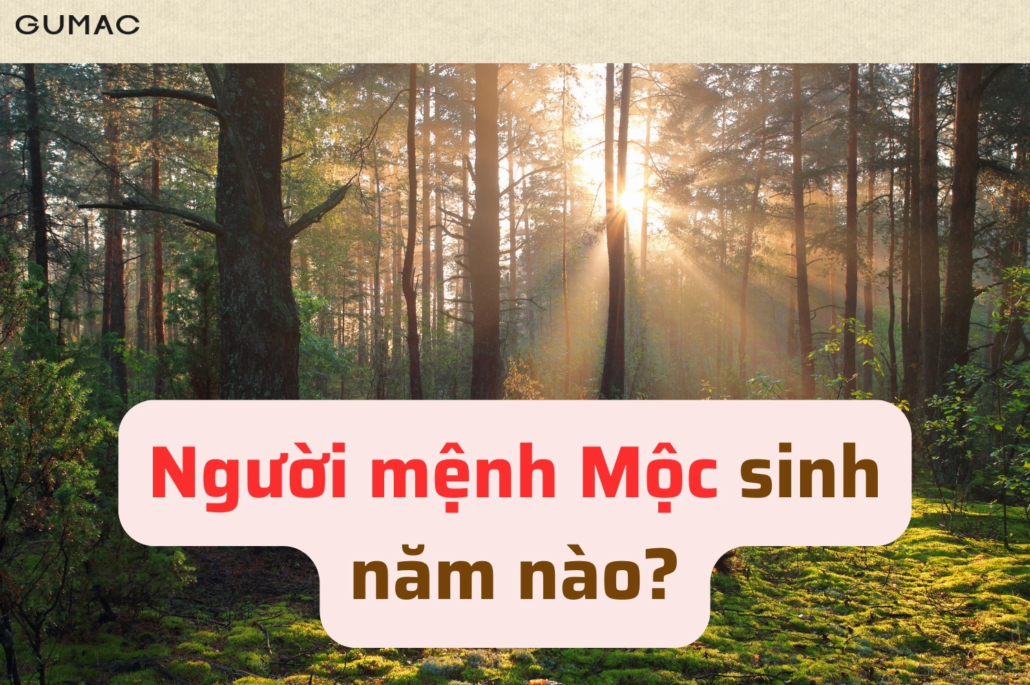 nguoi menh moc sinh nam nao