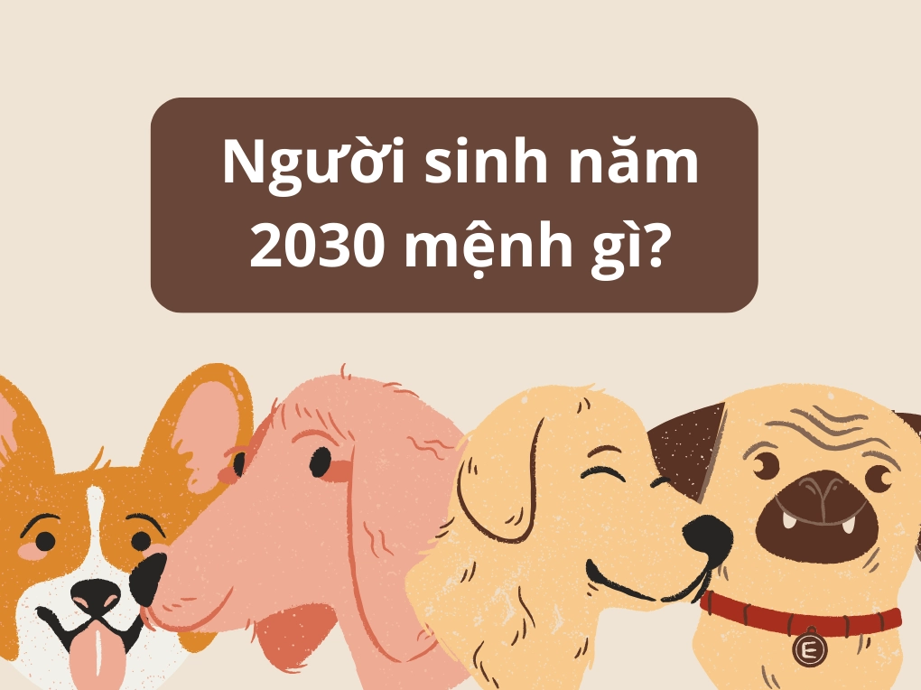 Người sinh năm 2030 mệnh gì?