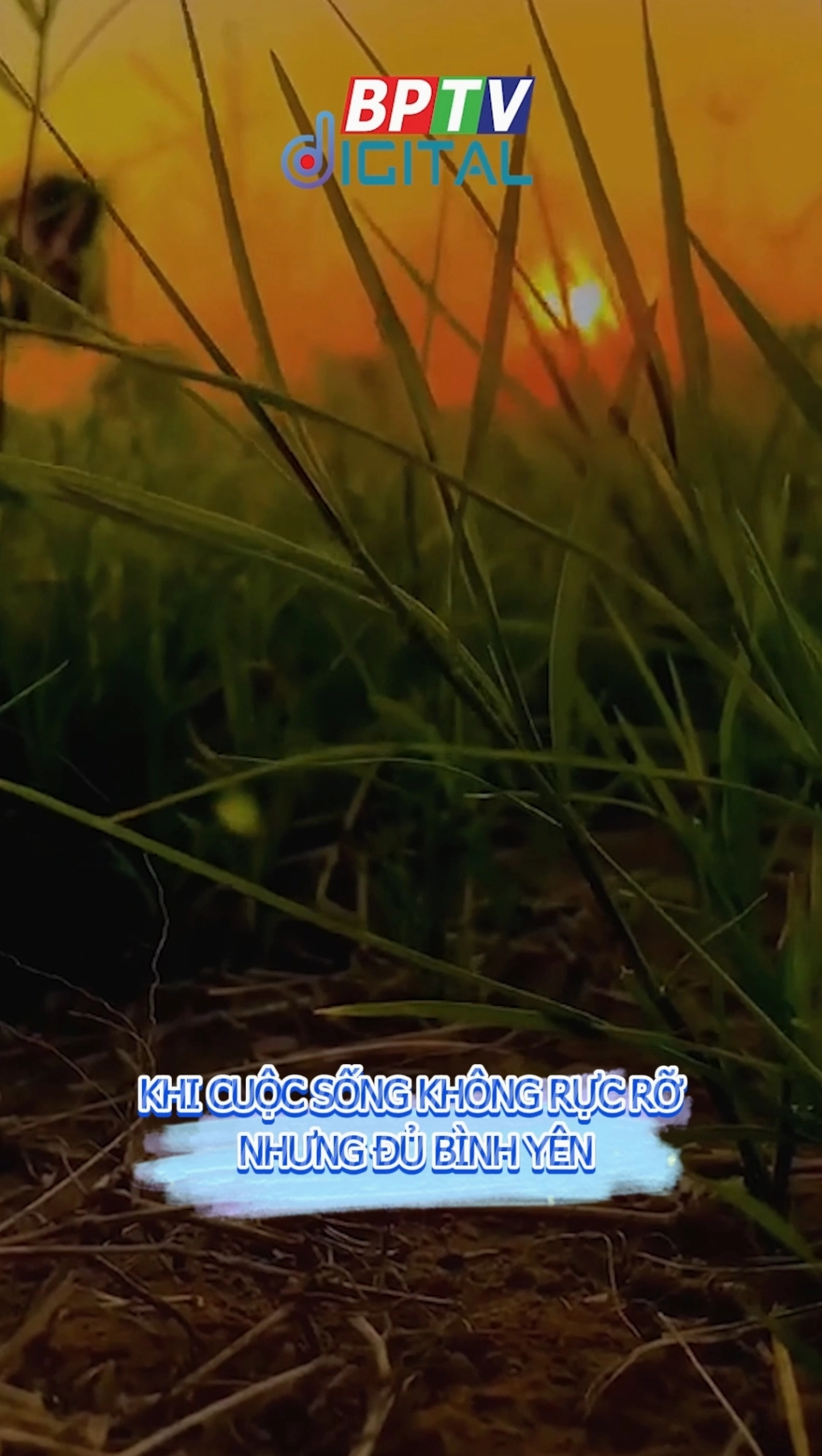 Người tuổi Tuất luôn hướng tới một cuộc sống bình yên và ổn định nội tâm