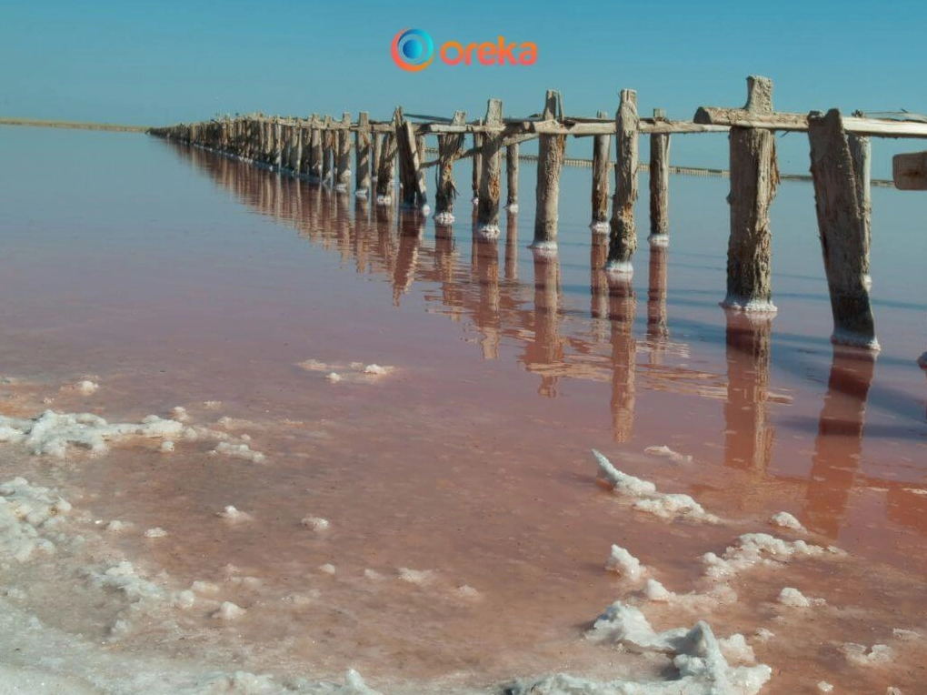 Nguyên nhân chính gây ra hiện tượng xâm nhập mặn bao gồm yếu tố tự nhiên và con người