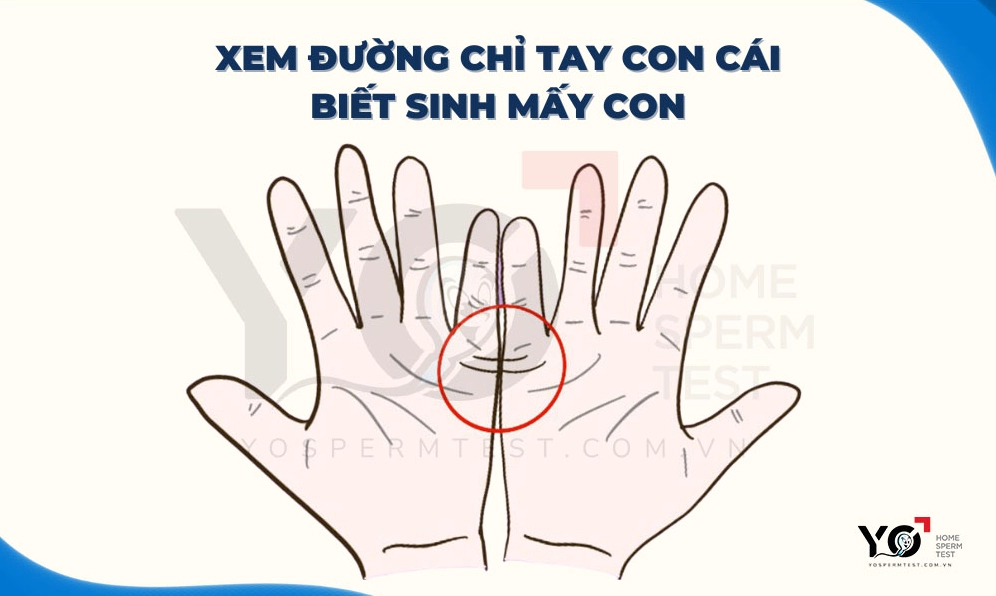 Nhận biết sinh mấy con qua đường chỉ tay