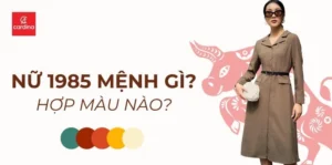 nu-sinh-nam-1985-hop-mau-gi-bi-quyet-chon-mau-phong-thuy-tai_207