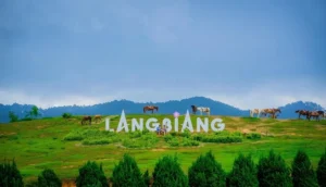 nui-langbiang-cam-nang-kham-pha-noc-nha-da-lat-chi-tiet-2026_476