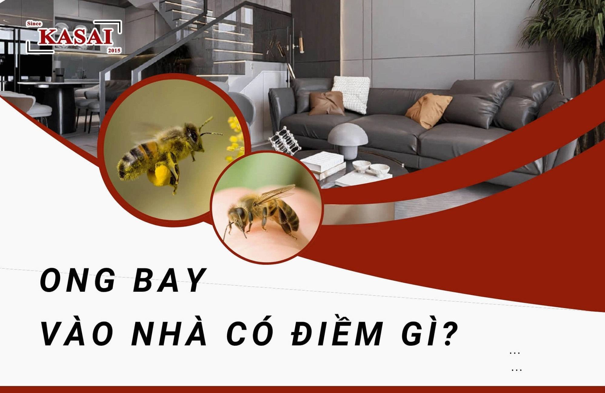 Ong bay vào nhà có điềm gì?