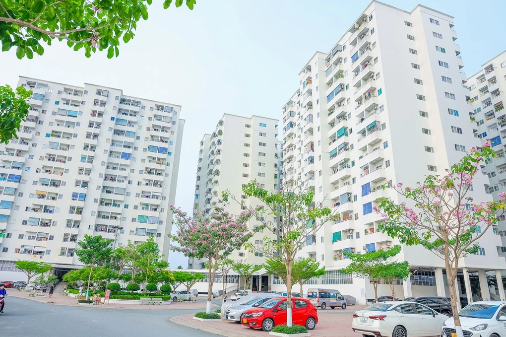 Phối cảnh tổng thể CHUNG CƯ LÊ THÀNH - TÂN TẠO 1