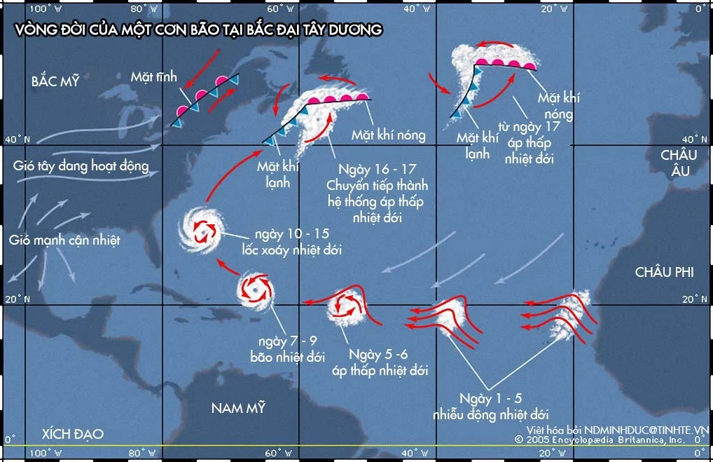 Quá trình hình thành bão và sự nhiễu động khí quyển trên đại dương