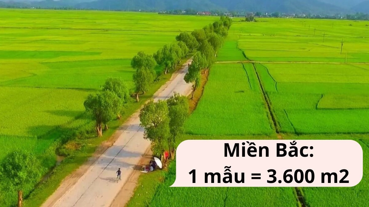 Quy đổi 1 mẫu bằng bao nhiêu m2 miền Bắc cực chuẩn