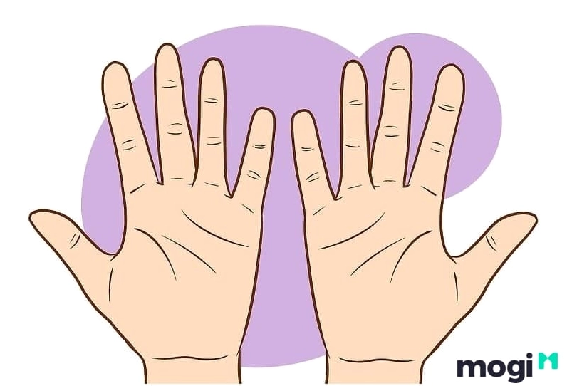 Quy tắc nam tả, nữ hữu khi xem chỉ tay