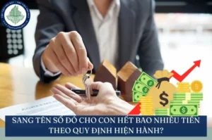 sang-ten-so-do-cho-con-het-bao-nhieu-tien-nam-2026-chi-tiet_458