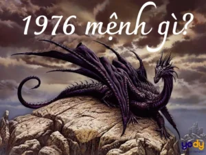 sinh-nam-1976-nam-nay-bao-nhieu-tuoi-loi-giai-chuan-xac-2026_244