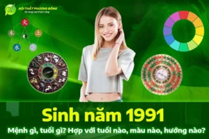 sinh-nam-1991-hop-voi-tuoi-nao-tu-vi-tan-mui-nam-2026_813