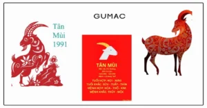 sinh-nam-1991-menh-gi-hop-mau-gi-giai-ma-toan-tap-tuoi-tan-m_294