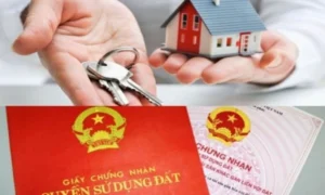 so-do-va-so-hong-khac-nhau-the-nao-phan-biet-chi-tiet-nhat-2_375