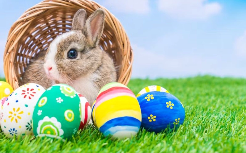 Thỏ Phục Sinh